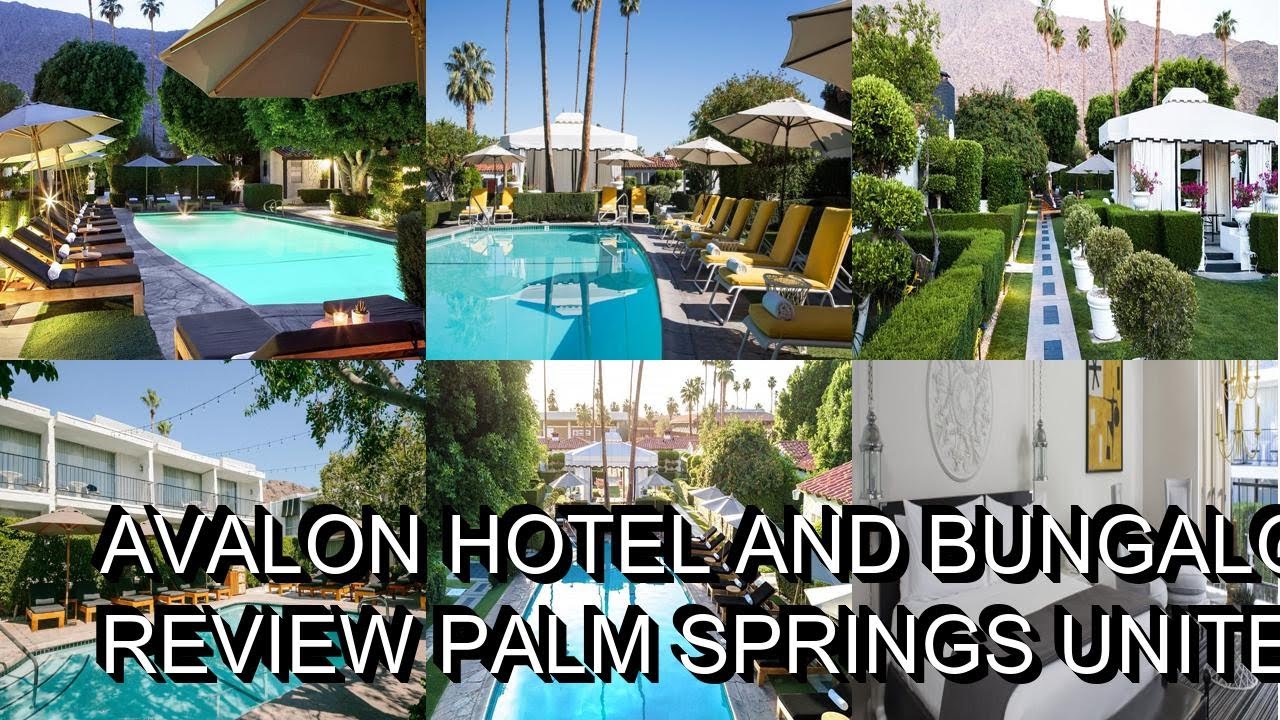 Avalon Hotel and Bungalows Palm Springs Review  Palm Springs  United States of America