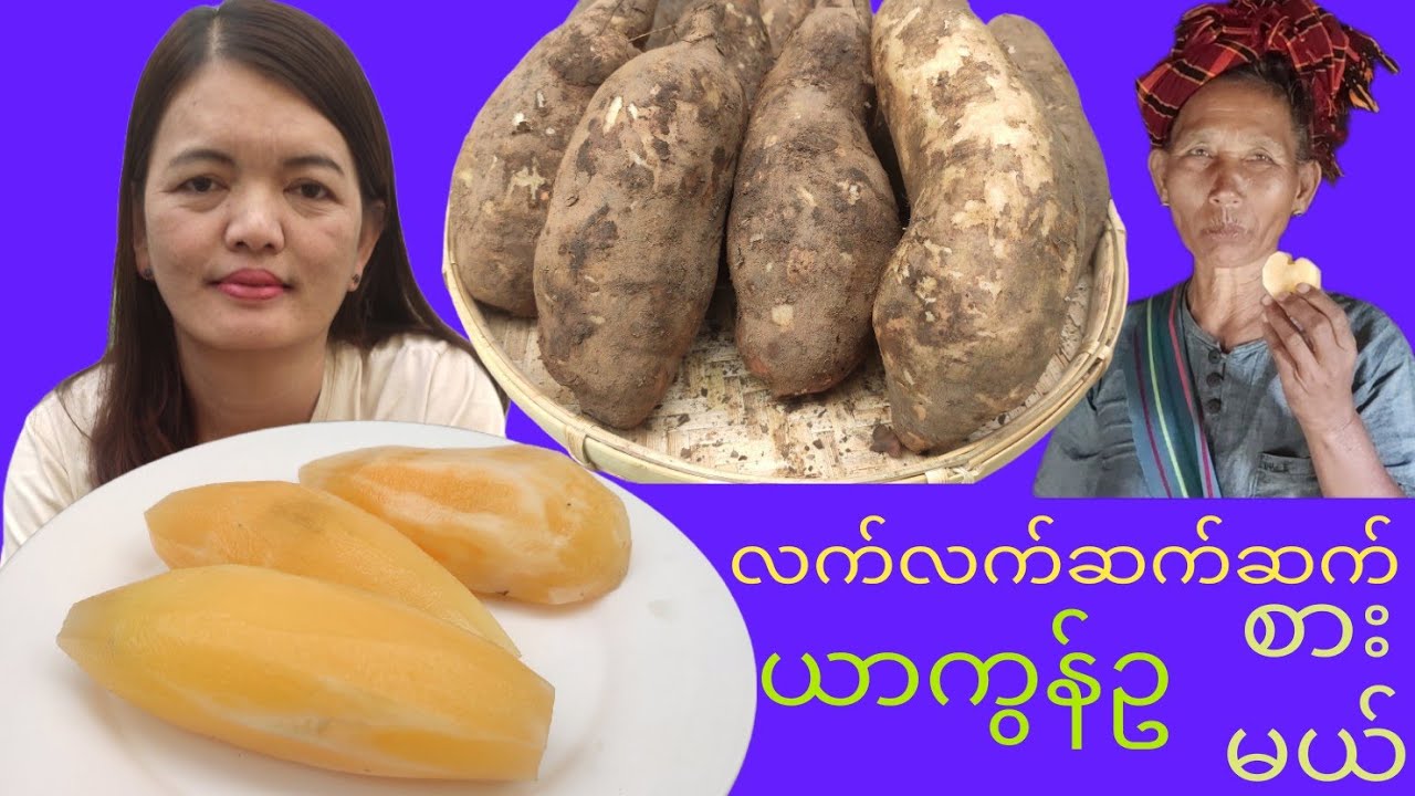 ယာကွန်ဥ လက်လက်ဆက်ဆက် စားမယ်