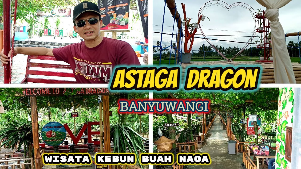 ASTAGA DRAGON. Asyiknya Wisata di Kebun Buah Naga.