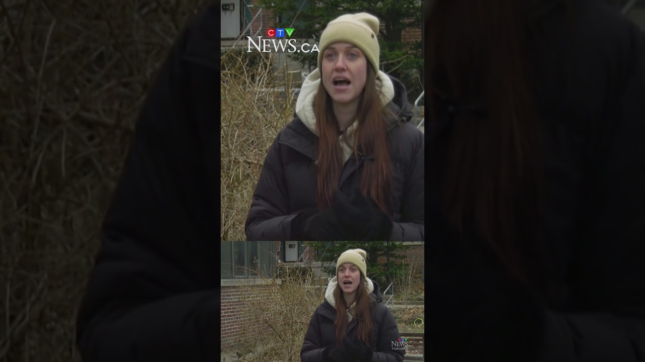 Toronto Teen accused of killing cat and harming raccoons has case halted