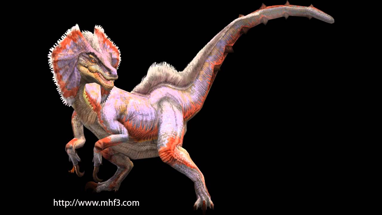 Great Jaggi Roar