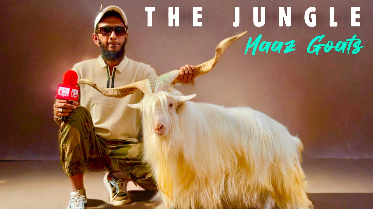 The Jungle - Maaz Goats, Pune | Full Farm Tour