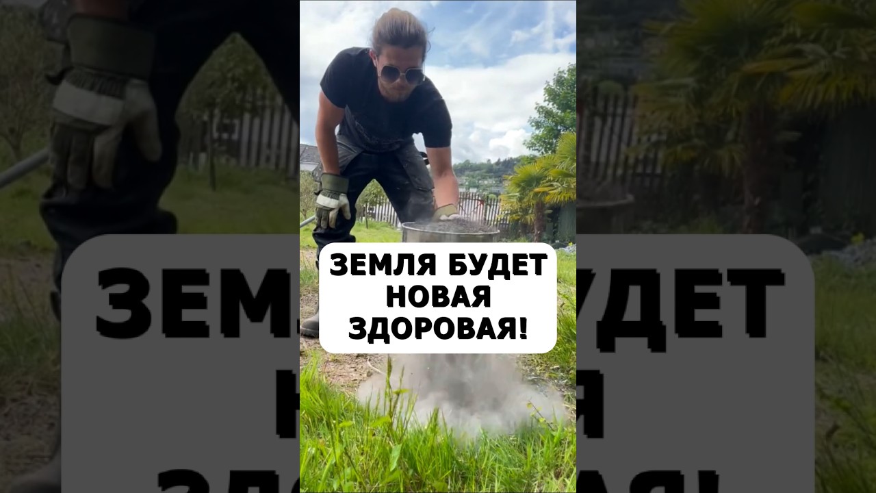 Земля будет новая и здоровая. Всегда так делаю после сбора урожая #огород #дача #сад #участок