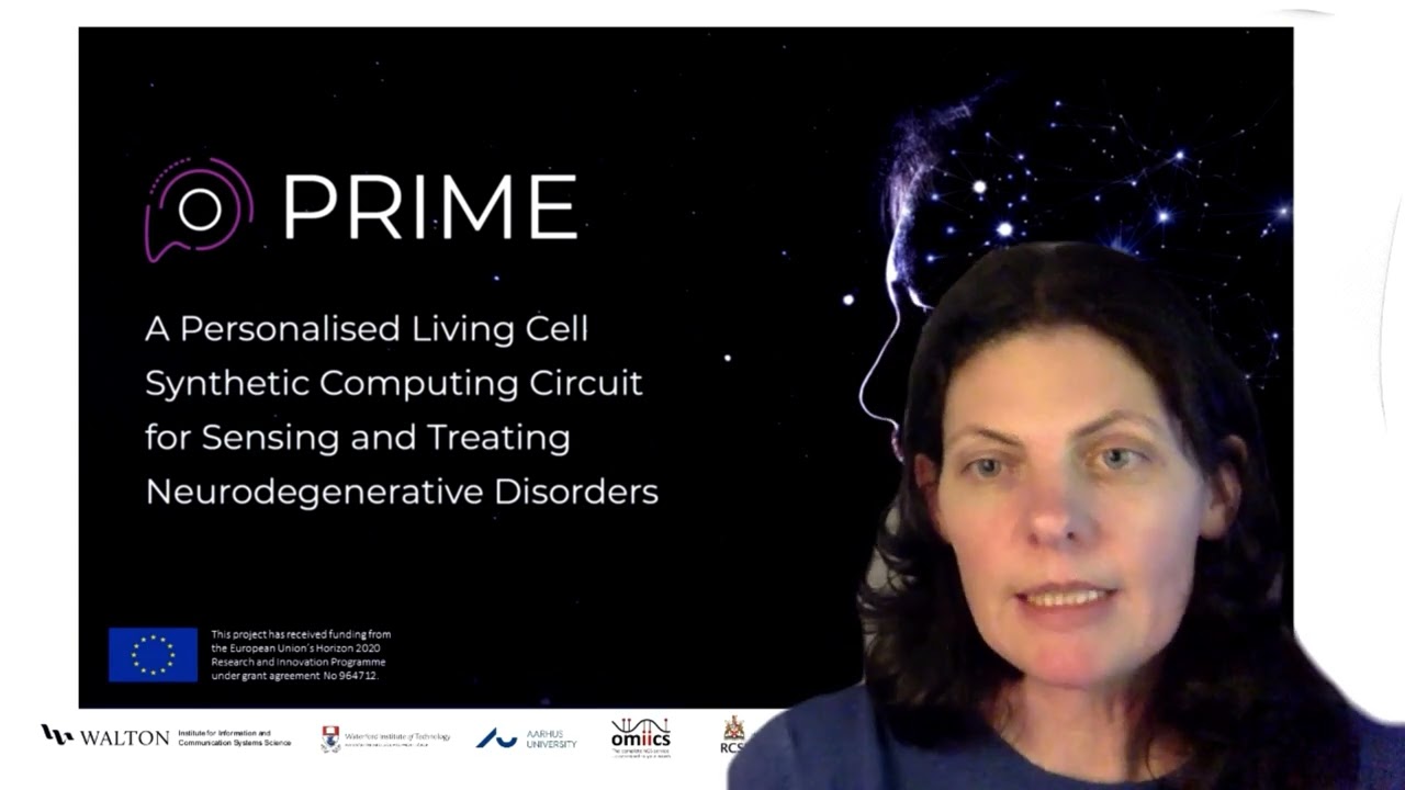 Prime EU FETOpen Project Video1