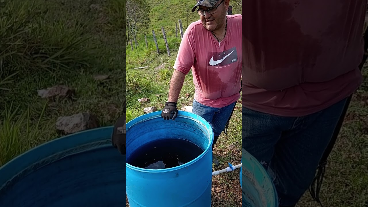sencillo pero importante, sistema de fertirriego de abono org&aacute;nico l&iacute;quido.
