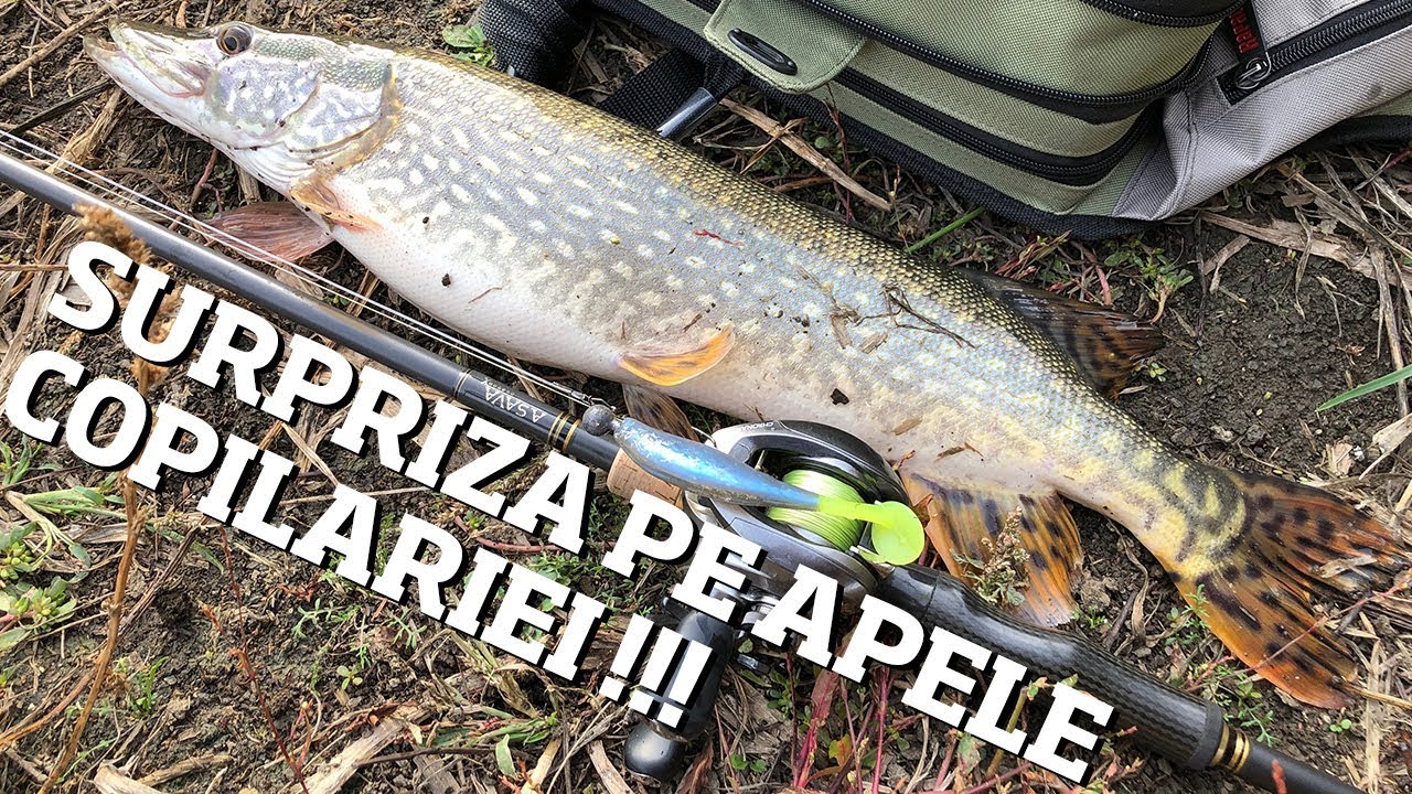 LA ORIGINI: pe APELE SUPERBE ale COPILARIEI in CAUTAREA STIUCII - inceput noiembrie.