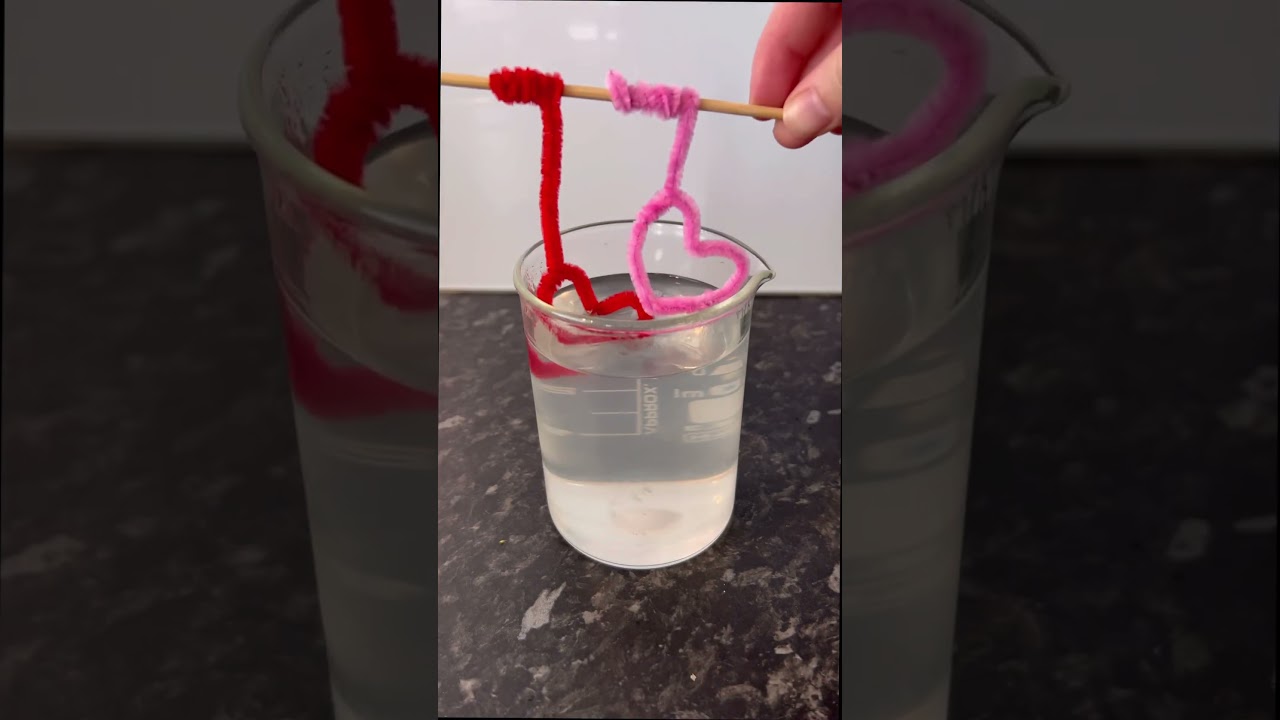Grow your own crystals overnight! #crystal #science #experiment