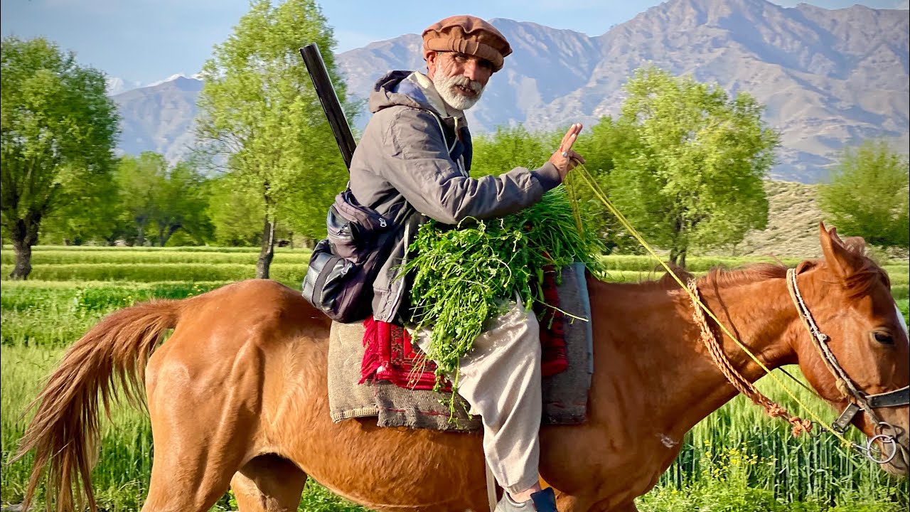 Village Life in Parachinar
