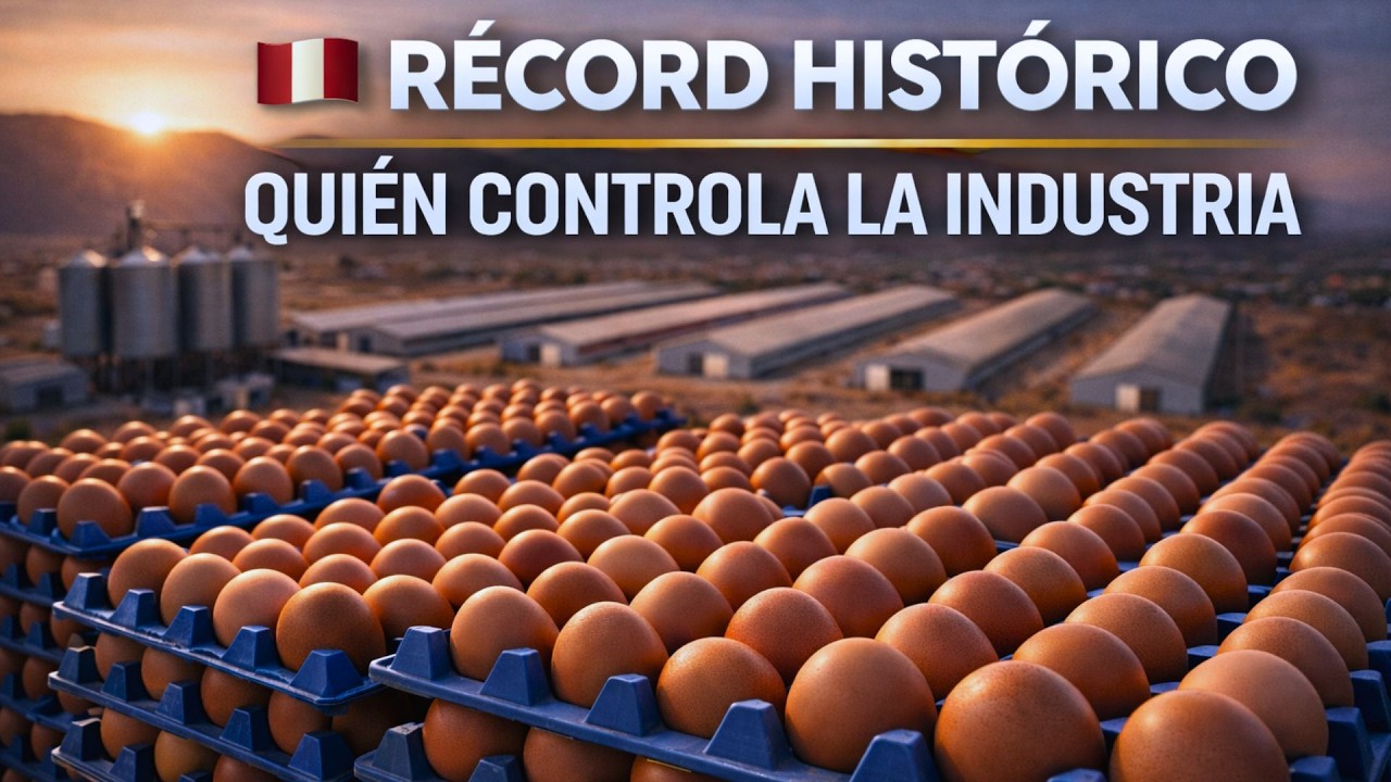 Récord histórico del huevo en el Perú: quién controla la industria