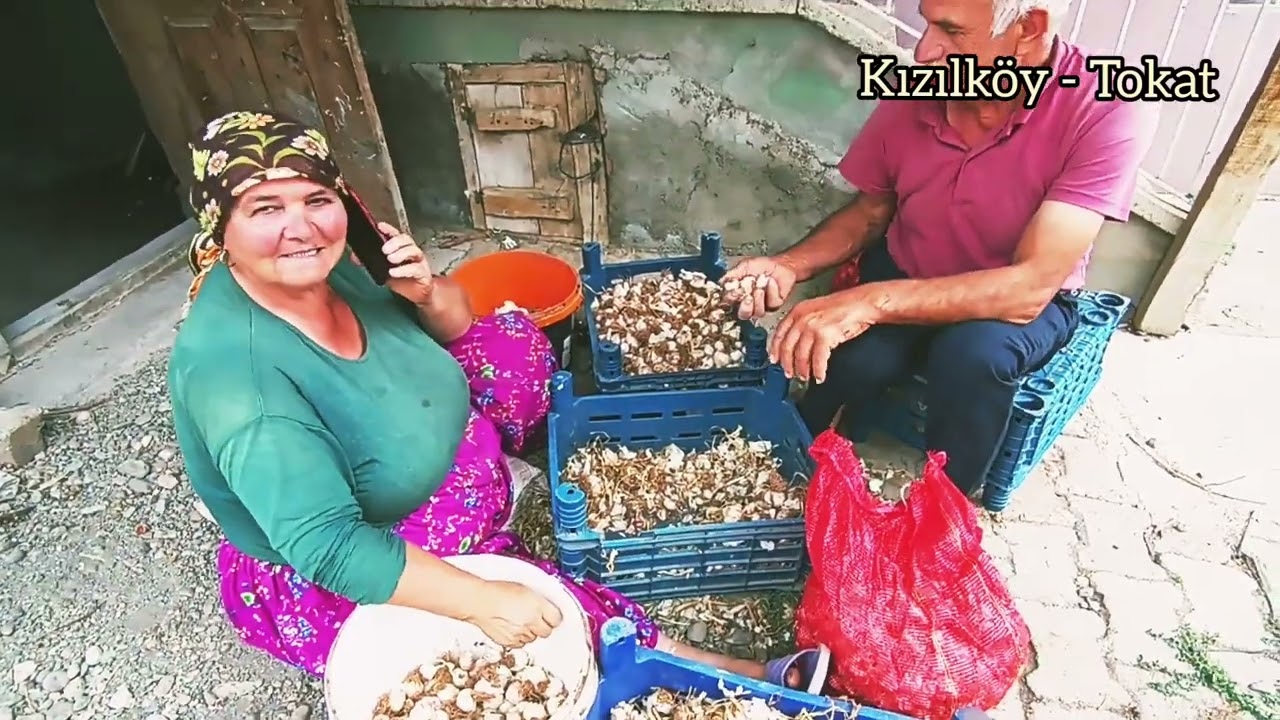 Tokat Merkez Kızılköy Sarımsak Köyü