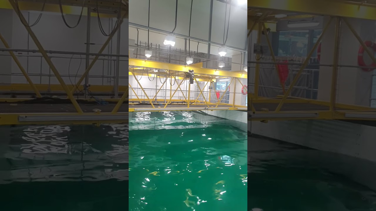 Line Wave Singularity in Specialist Robotics Wave Tank #shorts #science #waves