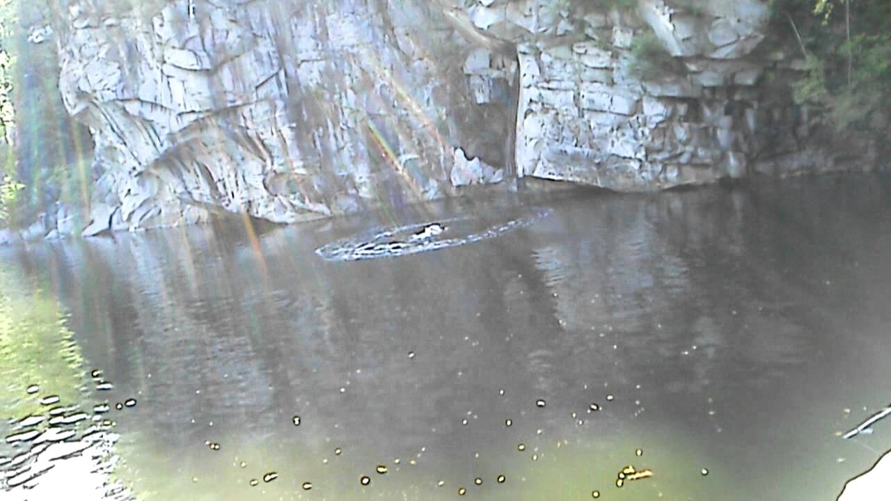40ft cliff jump gone wrong!! JUMPER: Pablo Flores Jr