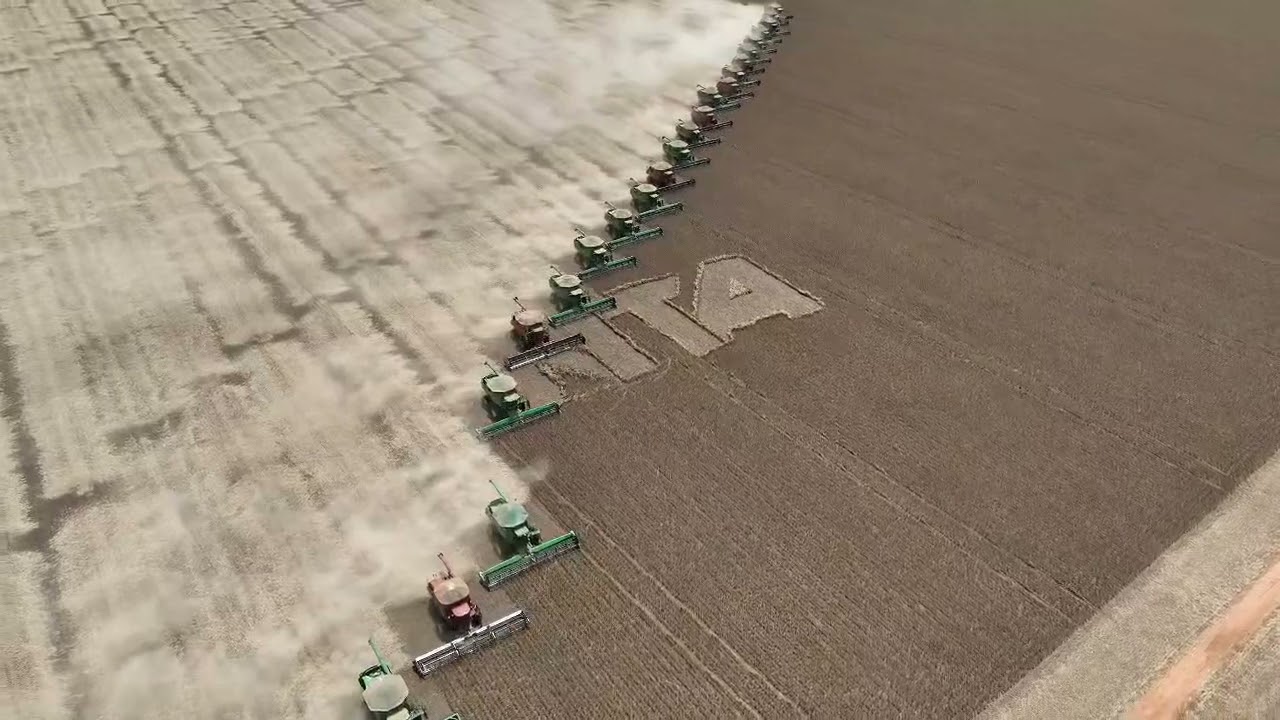 Final de colheita de soja HORITA