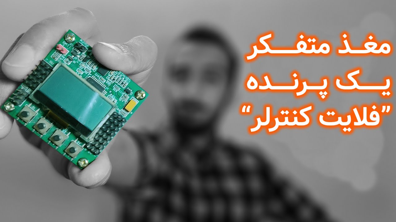 مغذ متفکر یک پرنده 