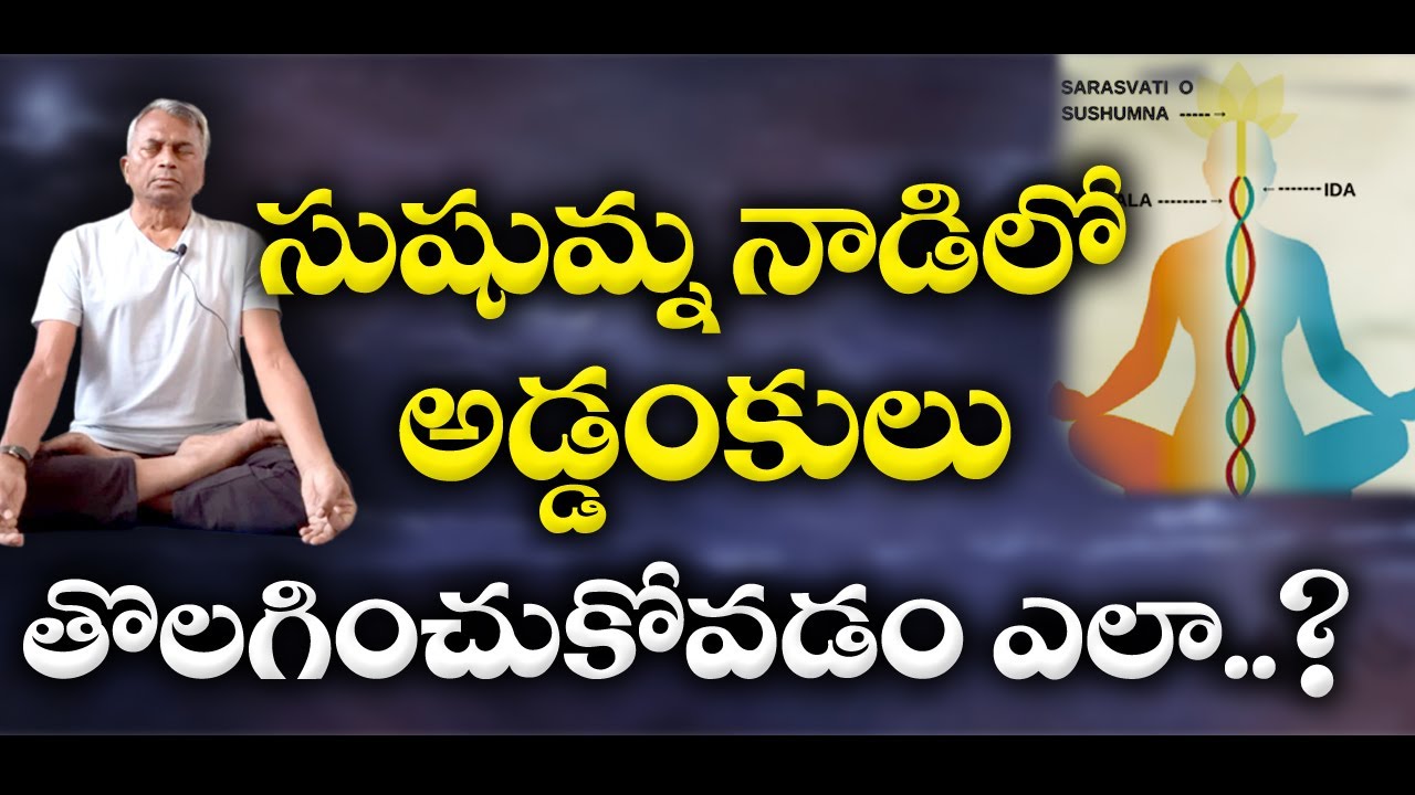 Sushumna Nadi | సుషుమ్న నాడిలో అడ్డంకులు తొలగించుకోవడం ఎలా..? | Swami Maitreya #sreesannidhitv