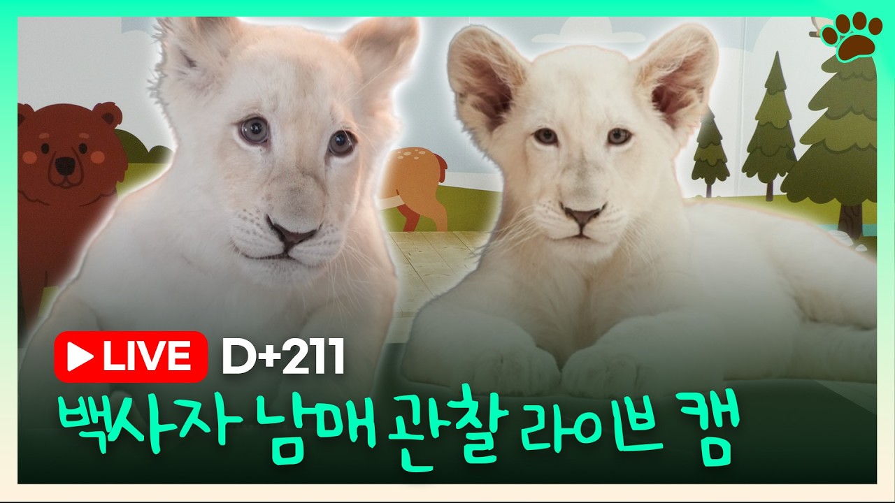 [랜선관찰일지 LIVE🦁] 다리도 다 낫고! 루루남매 마이 컸죠? 오늘의 아침 텐션은~?ㅣ260317