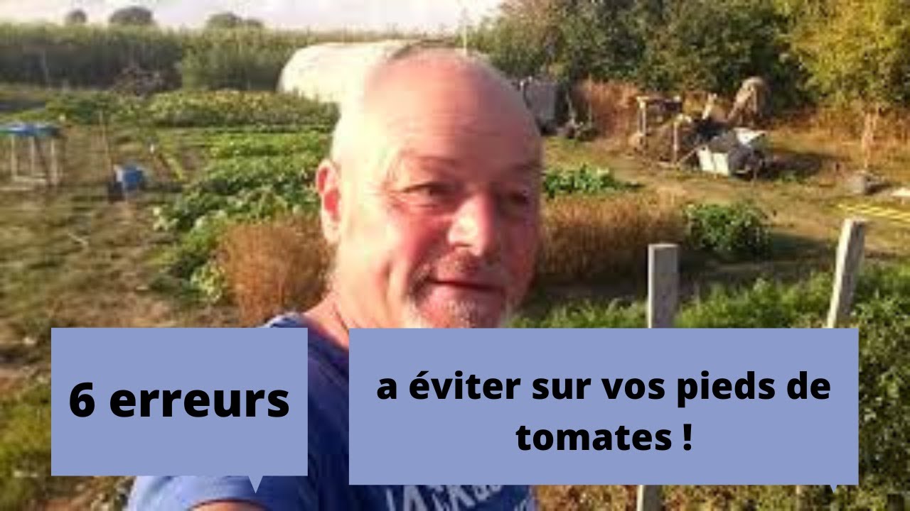 Les 6 erreurs a éviter  sur vos pieds de tomates ?
