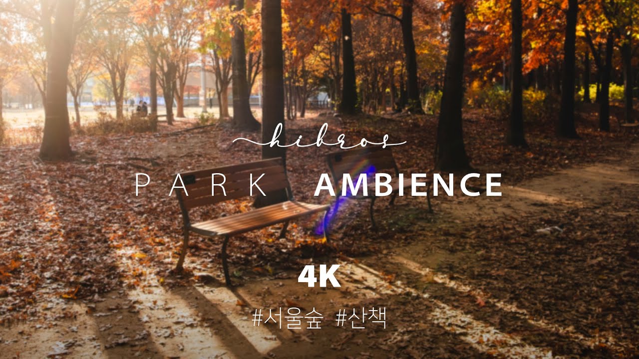 🎧 어느 가을 날 서울숲 산책 ASMR, 낙엽 밟는 소리, 자연의 소리 | 4K 자연 힐링 ASMR 수면, 휴식, 자연 힐링 영상 | 서울숲
