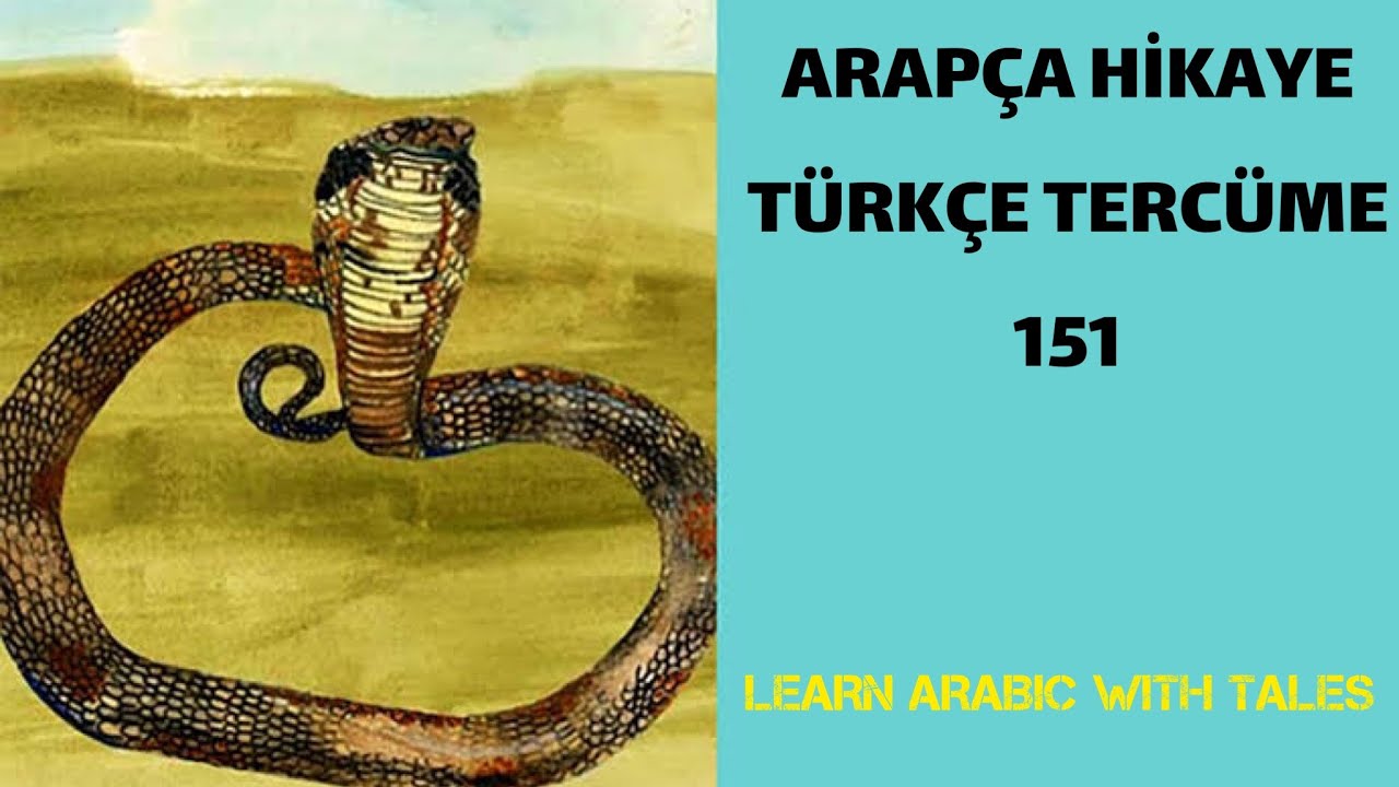 Birliğin Önemi Arapça Hikaye Harekeli - Arapça Dili
