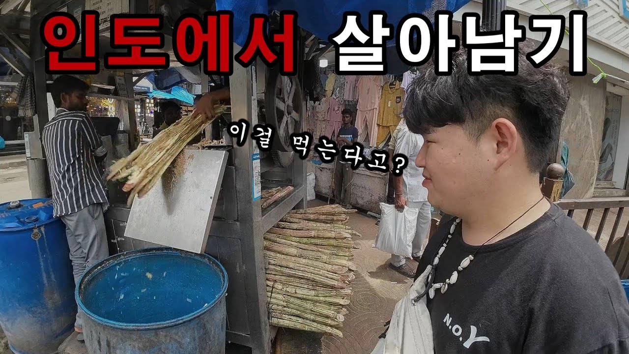 27개국을 여행한 세계여행자의 첫 인도 여행
