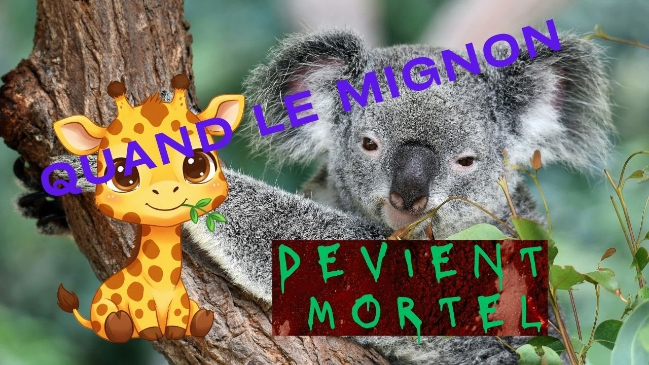 10 Animaux Trop Mignons… Mais Mortels 😱 | Ne Te Fie Pas aux Apparences