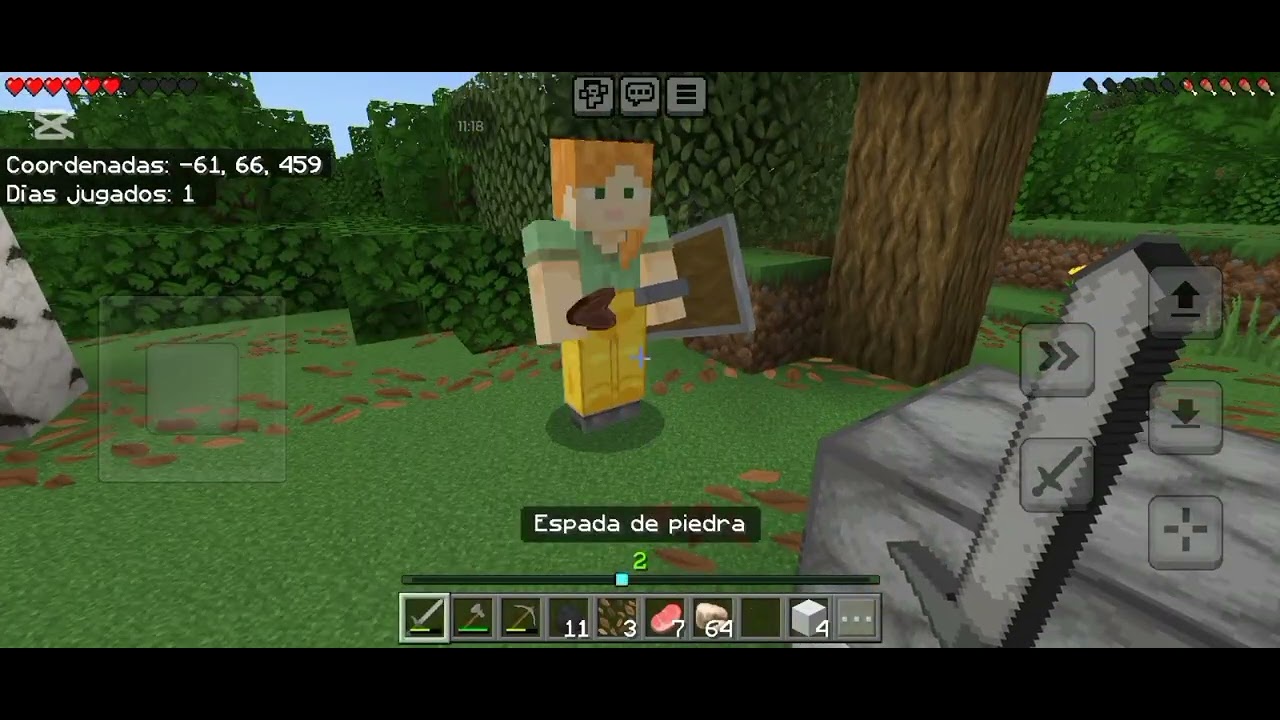  Jugando Minecraft con un amigo 