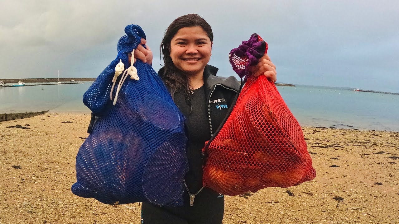 Biggest Scallops We've seen | Exploring Anglesey