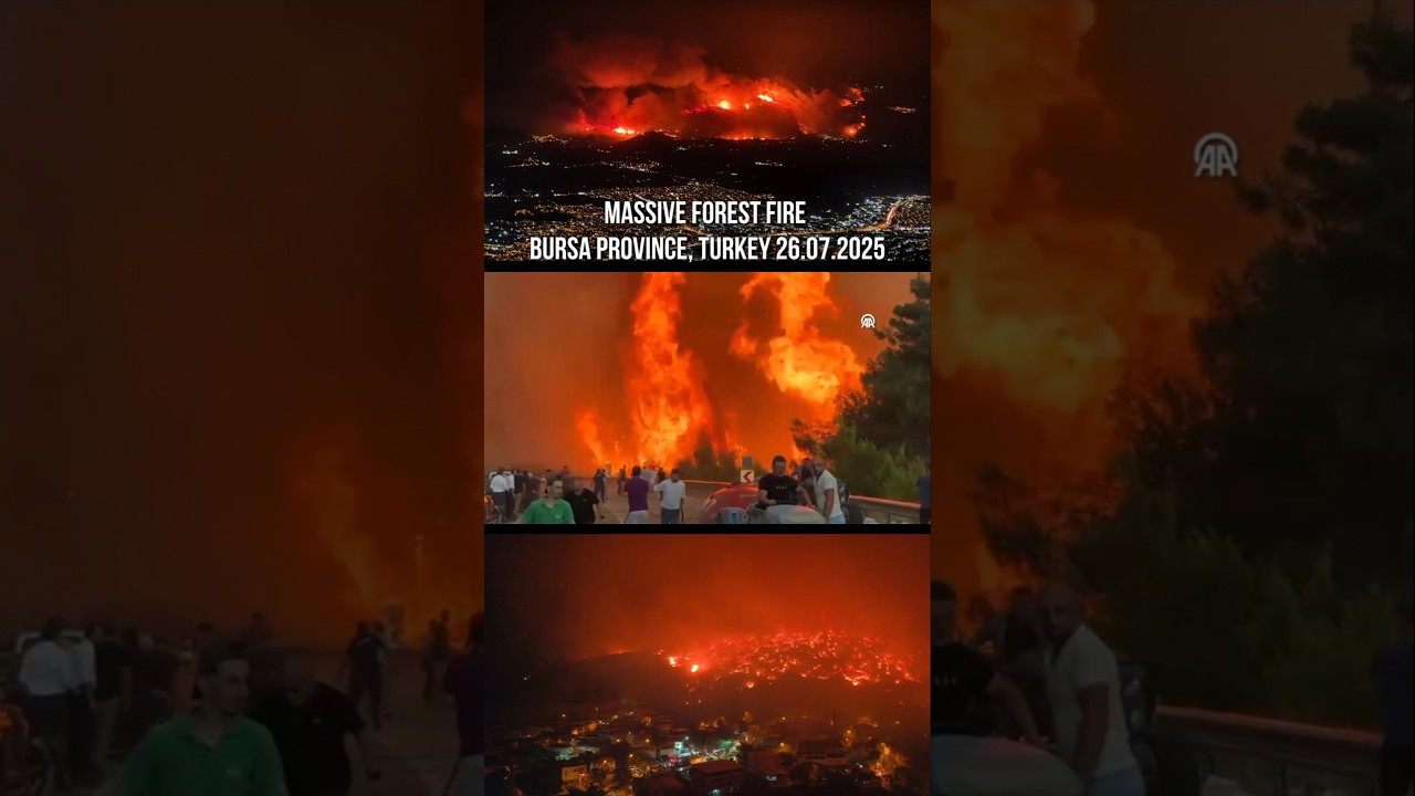 Massive forest fire in G&uuml;rsu, Bursa Province, Turkey 26.07.2025 #turkey #fire #life