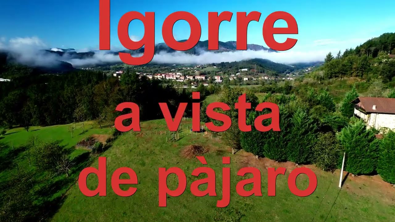 Igorre a vista de p&aacute;jaro