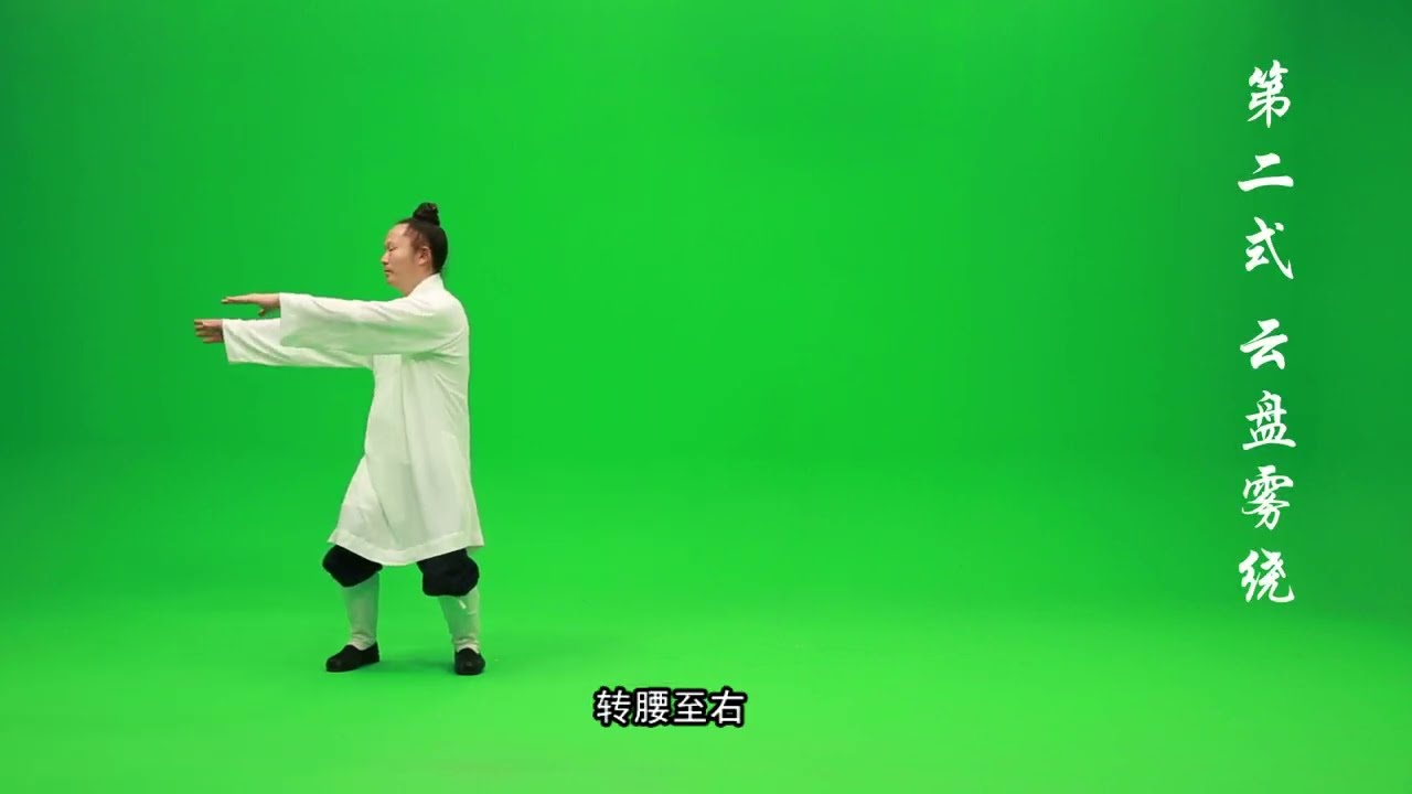 YUAN LIMIN 13 TAIJI PRINCIPES