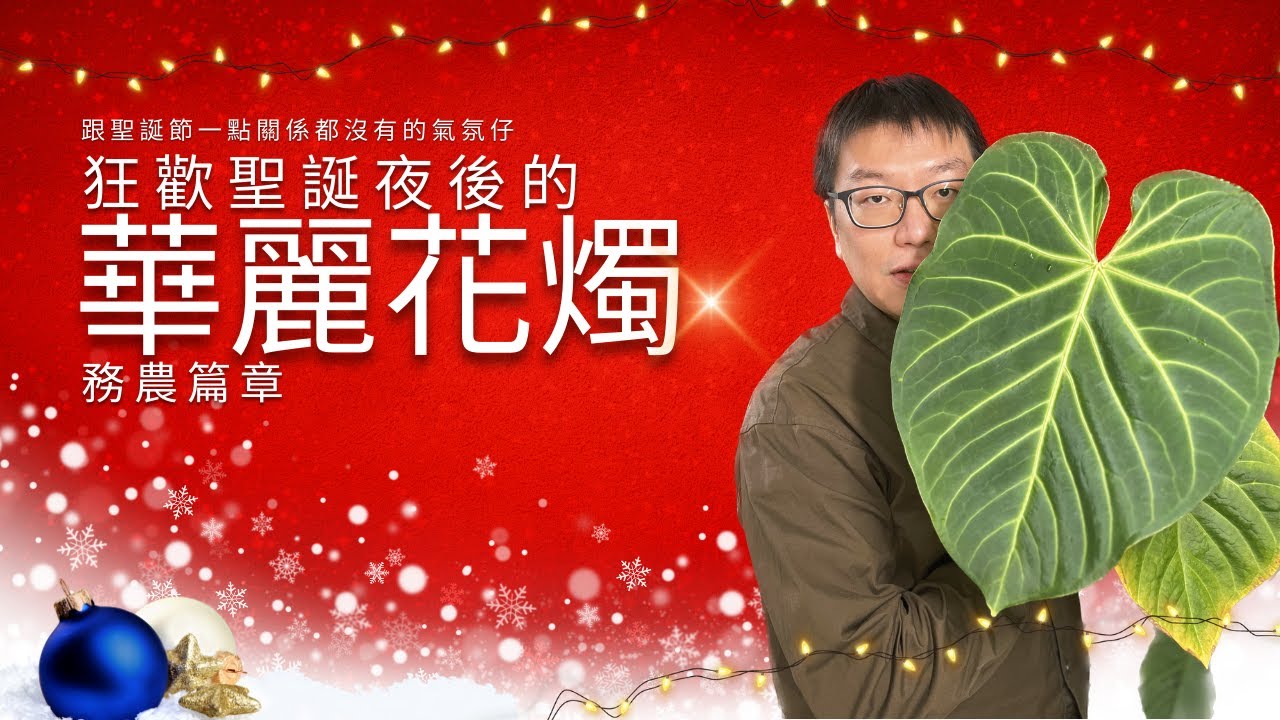 [CC字幕] 比臉大四倍 