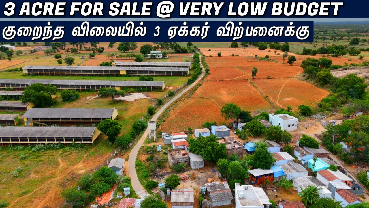 3 ACRE FOR SALE #lowprice | குறைந்த விலையில் 3 ஏக்கர் விற்பனைக்கு #realestate #best #agriculture