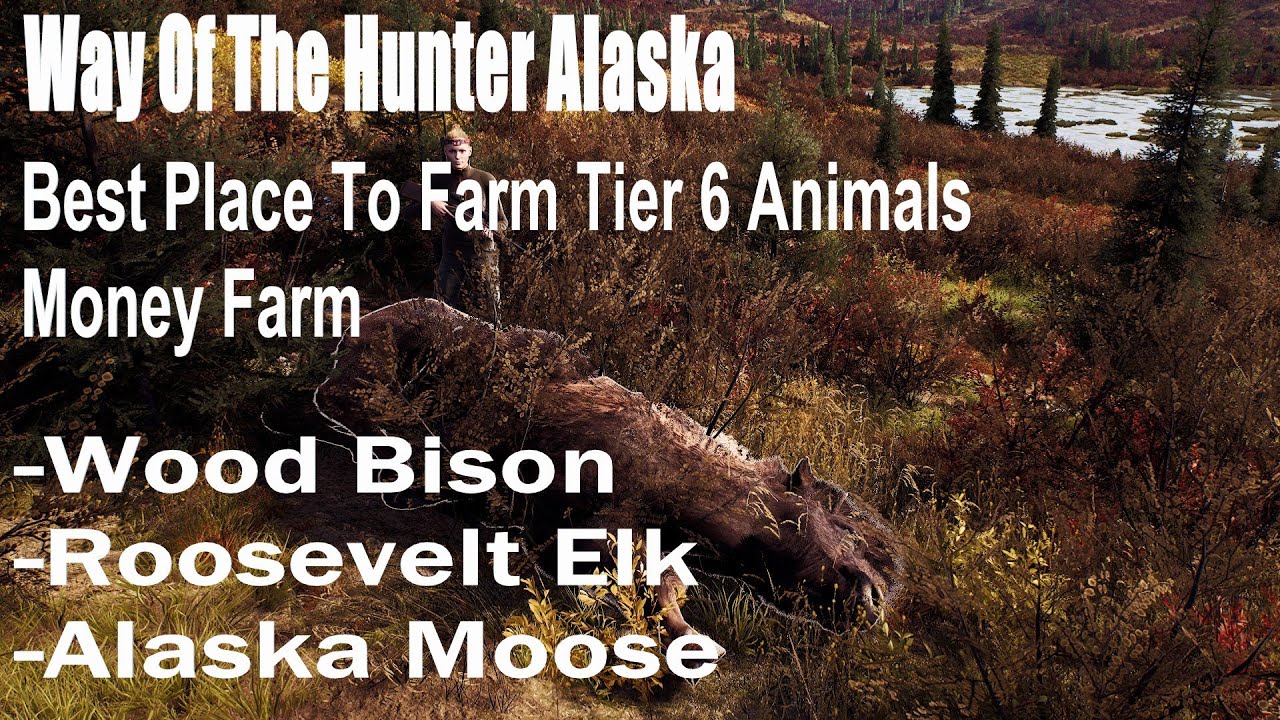 Way Of The Hunter Alaska, Best Place To Farm Tier 6 Animals, Money Farm