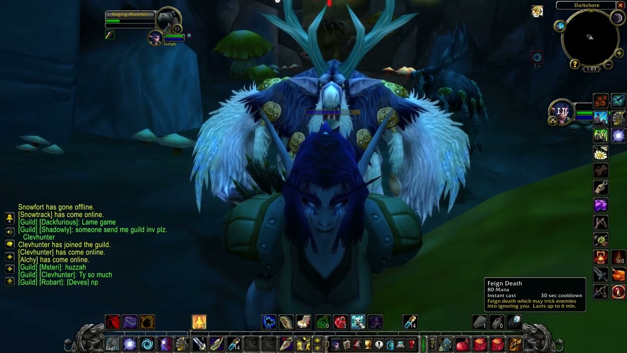 World of Warcraft-HC Bott kills
