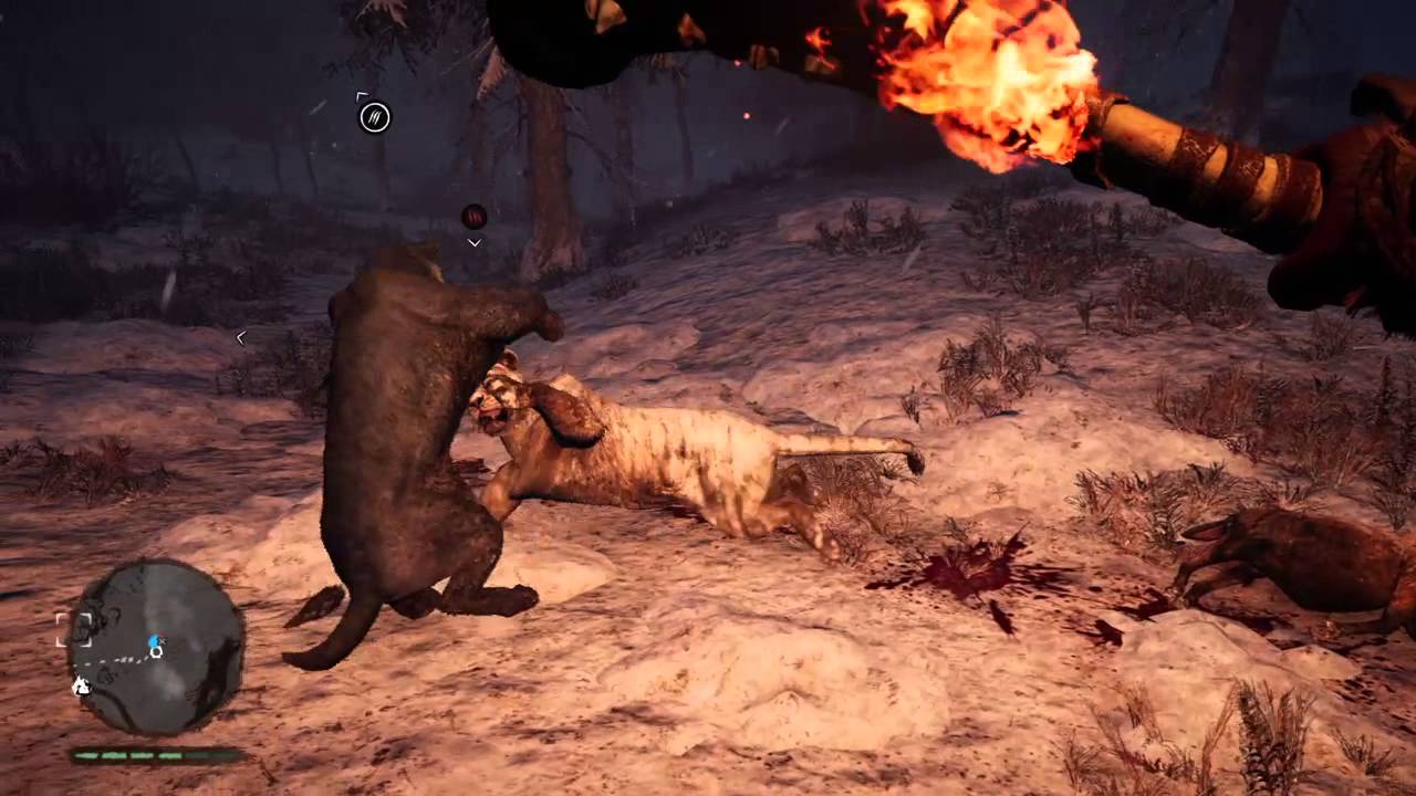 Far Cry Primal Rare black Lion vs Cave Lion
