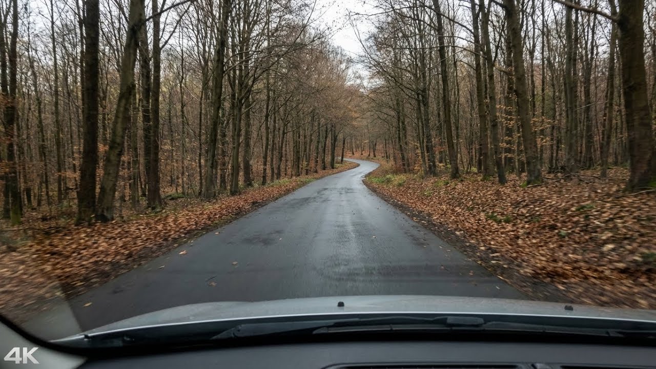 Silent Countryside Drive | Relaxing Car Sounds for Sleep & Focus #travel #car
