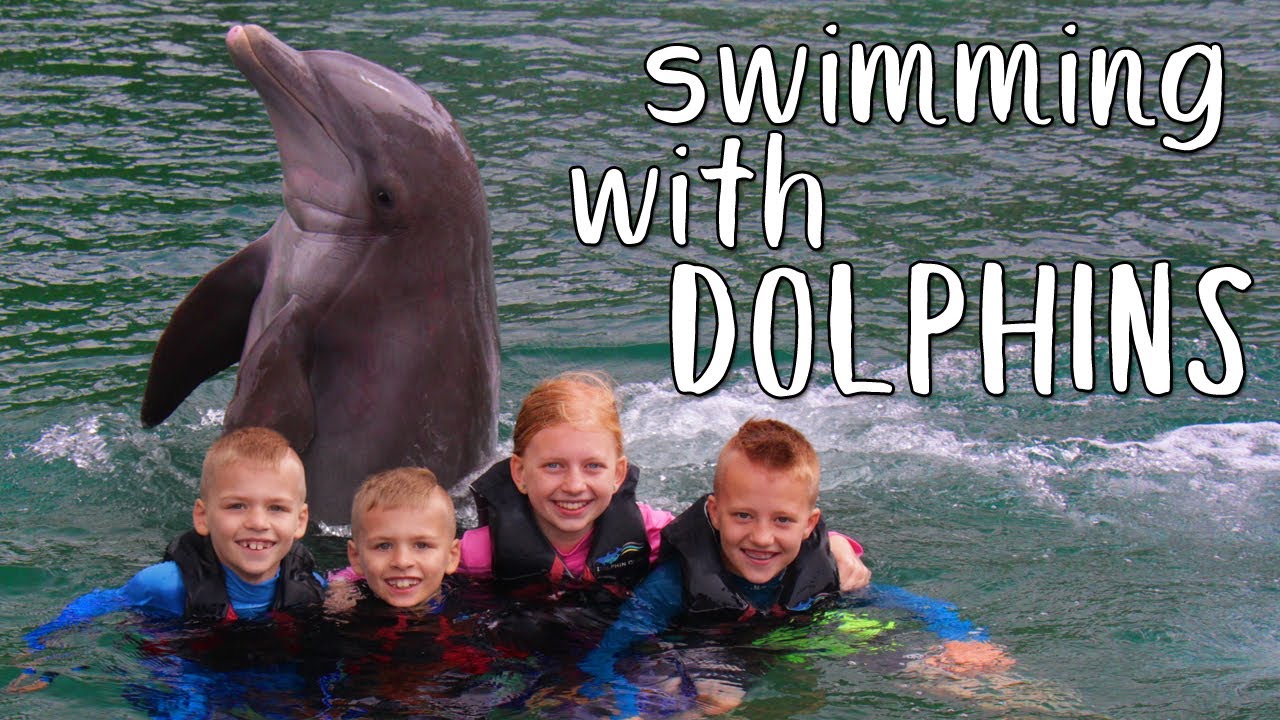 Swimming With Dolphins & Feeding Sea Turtles at Dolphin Quest!!
