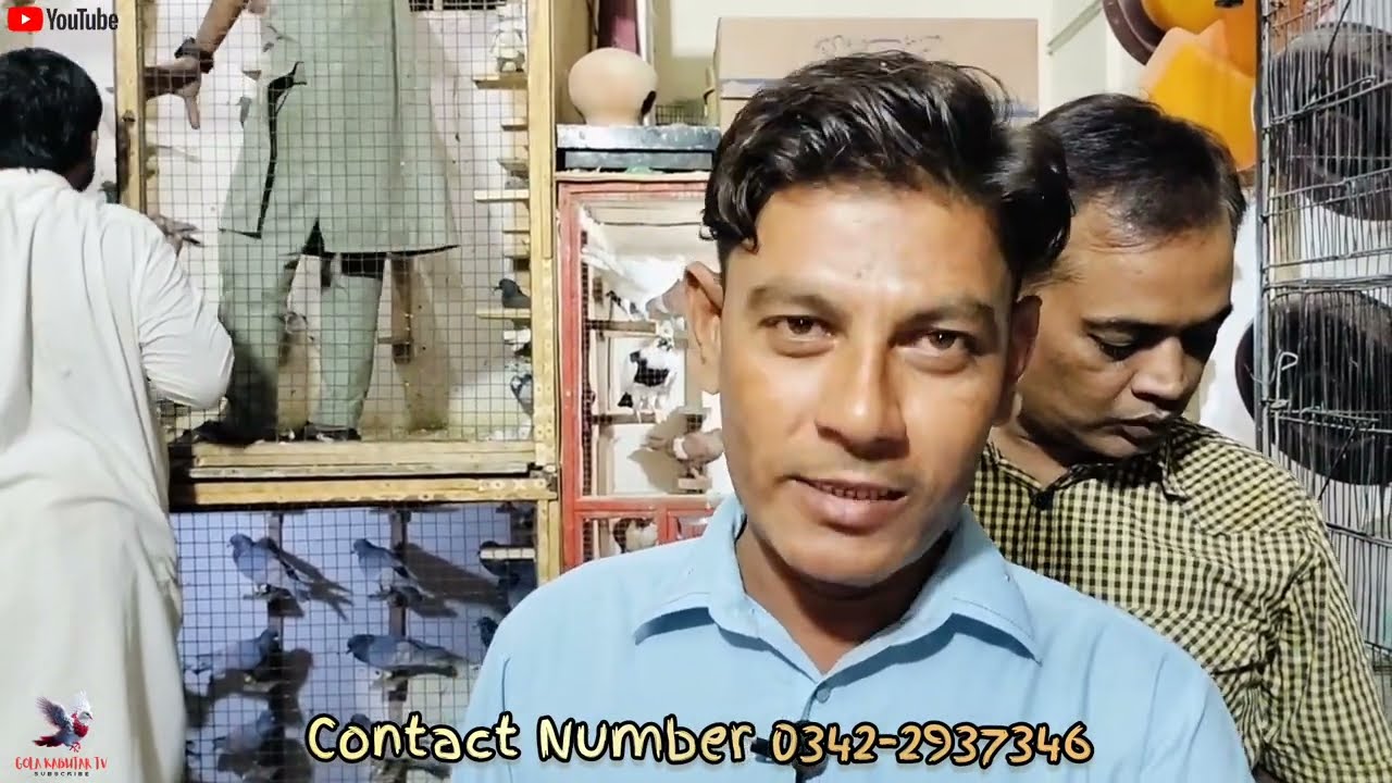 New Jaal Open In Orangi Town Karachi | Shaizad Bhai Ne Live 80 Kabutar Bech Diye .. 😃