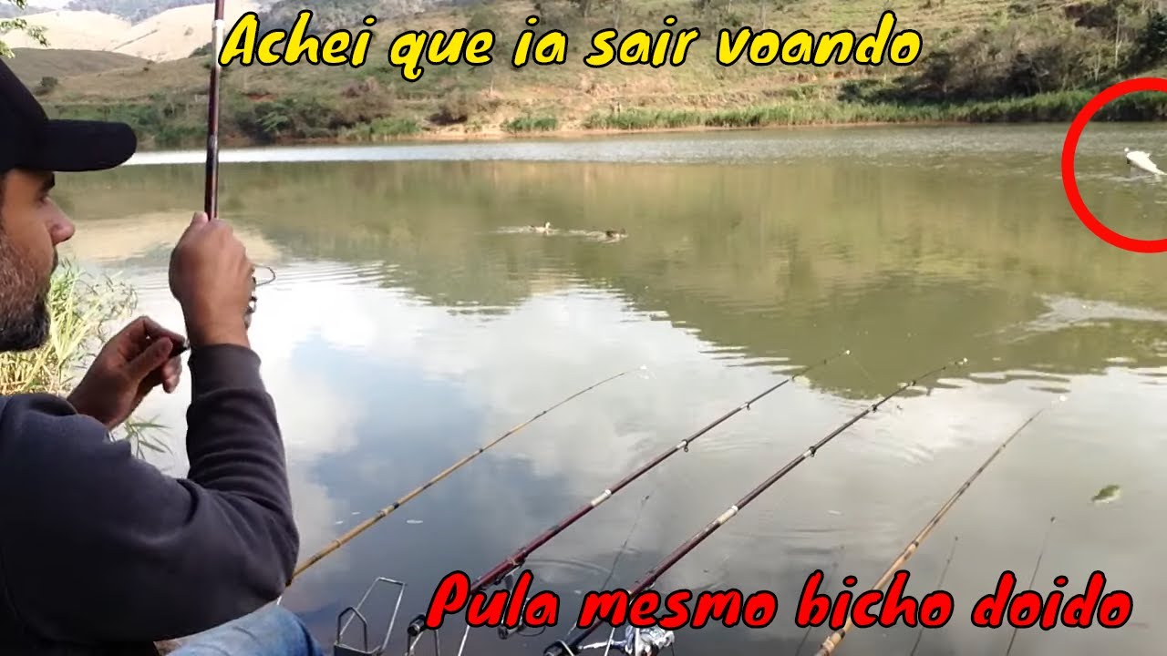PESCARIA ASSIM VALE A PENA! Pescaria de piau e tilápia.