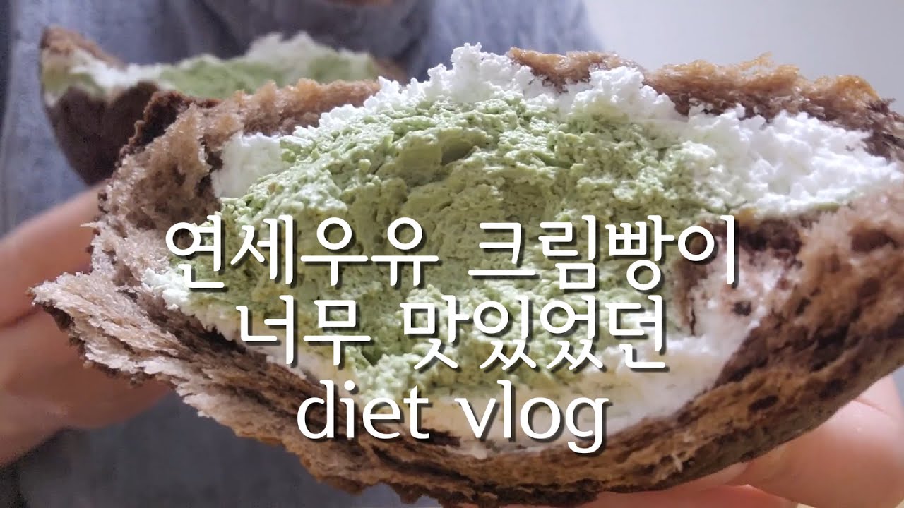 고도비만 다이어트 브이로그 |세상엔 맛있는 음식들이 너무 많다..