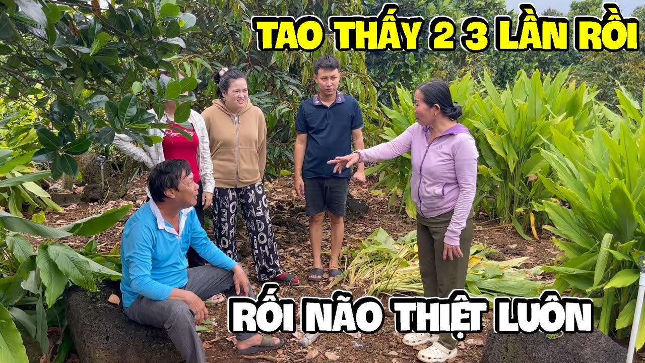 Dì Hương Nhứt Nhứt Cái Đầu Với Màn Troll Rối Não Của Mấy Con Báo | Anh Ba Báo