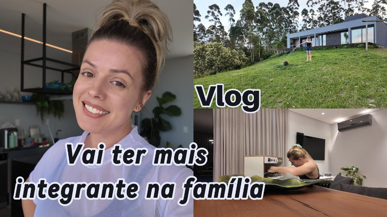 Rotina no interior. Coloquei os ovos para chocar