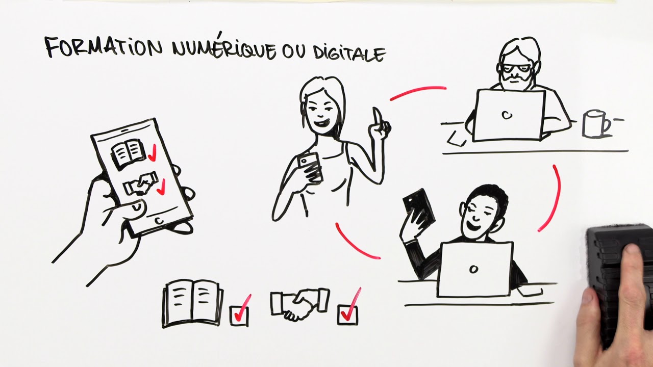 4.2 Les compétences de base et transversales