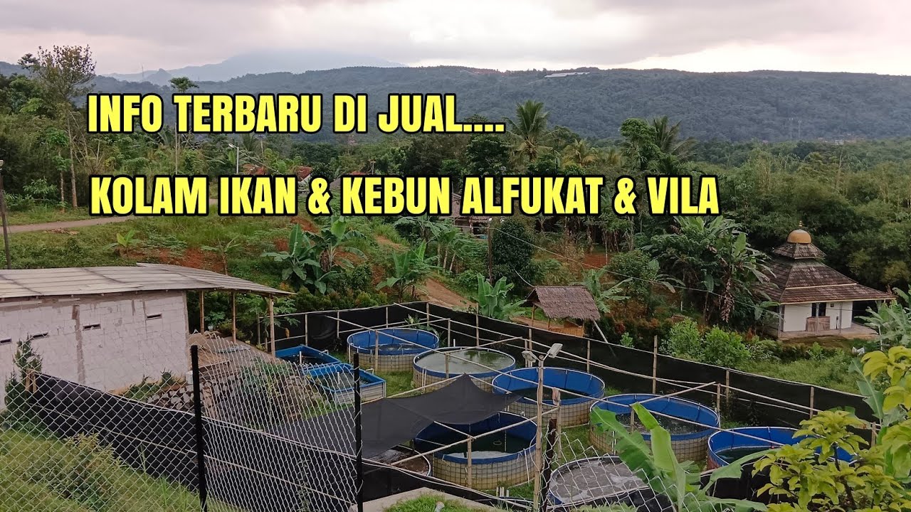 #DIJUAL