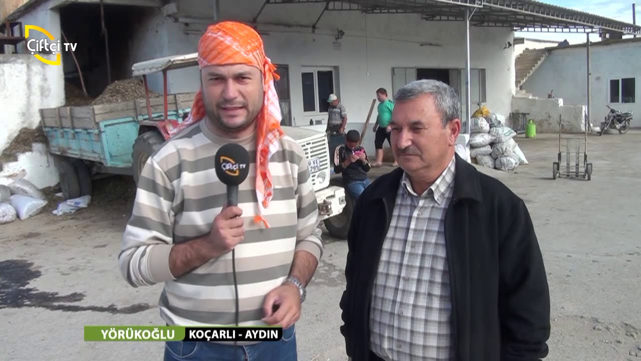 YÖRÜKOĞLU/9.BÖLÜM-KOÇARLI/AYDIN