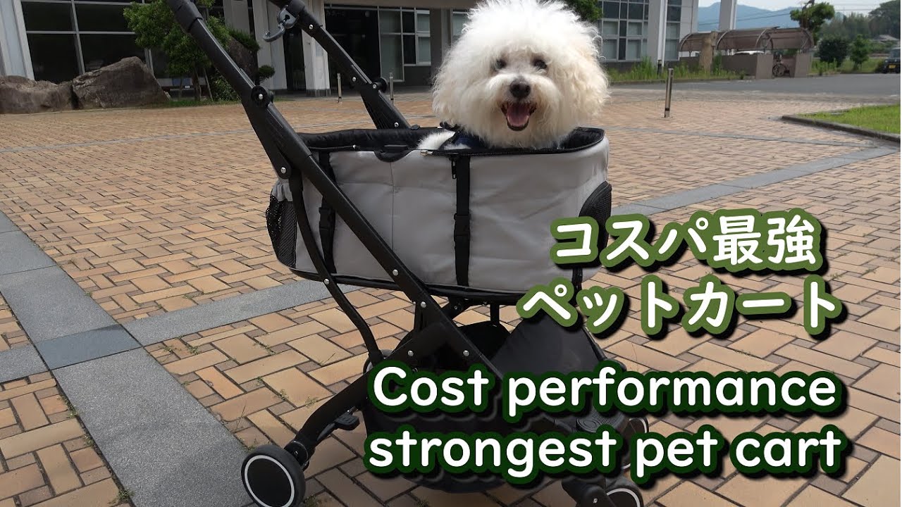 【コスパ最強】人気のベビーカーも販売されてる、エアバギーのペットカートを購入予定でしたが、五分の一の値段で、素敵なペットカートを購入した犬、ビションフリーゼのうたくん