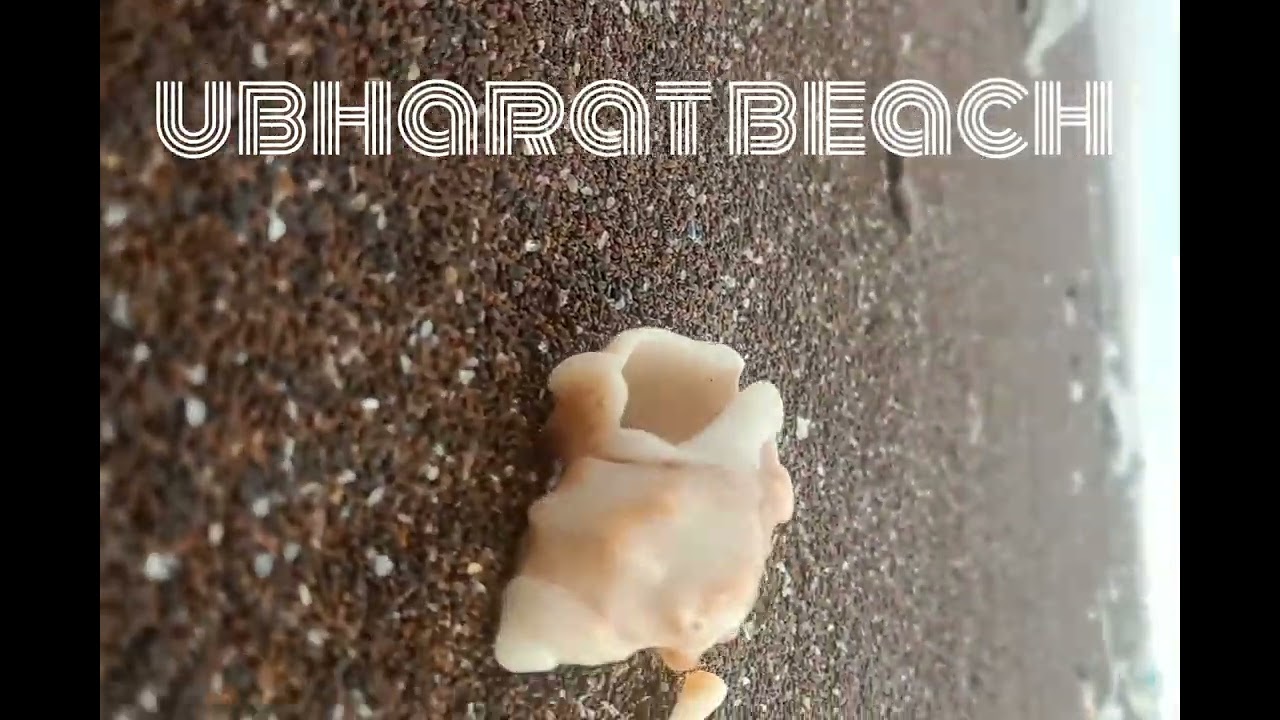Discover the hidden gem of Ubharat Beach Surattropical beachubharat beach suratubharat