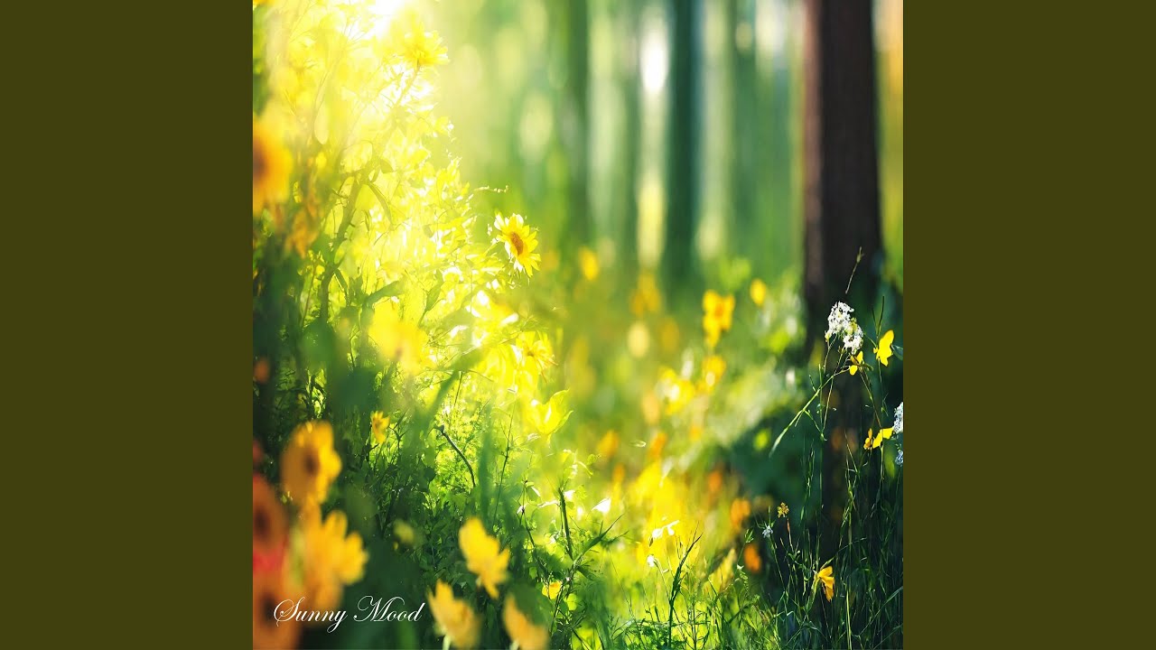 Sunny Mood