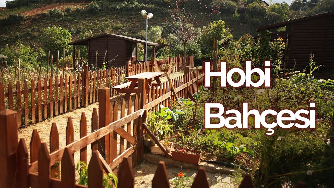 İstanbulluların hayal ettiği yaşam: Hobi bahçesi