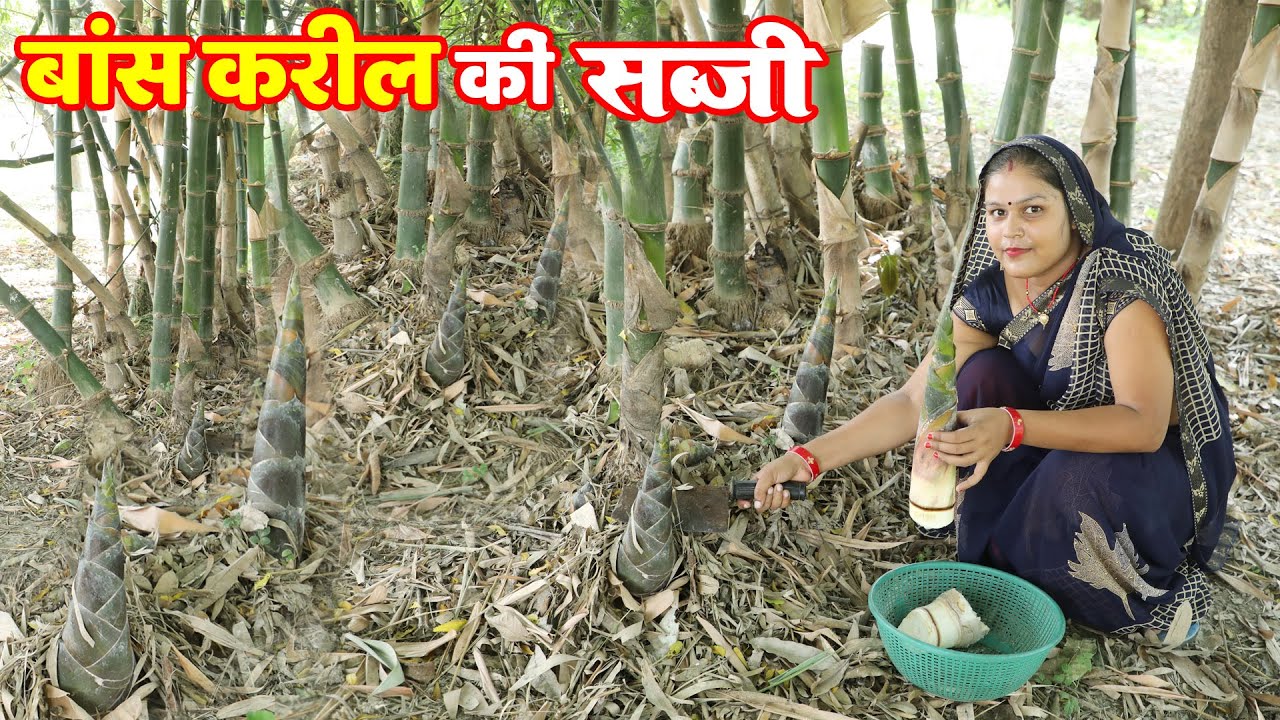 इस तरीके से बांस करील कीं सब्जी बनाओगे तो पनीर की सब्जी खाना भूल जाओगे | Bamboo Shoots Sabji Recipe